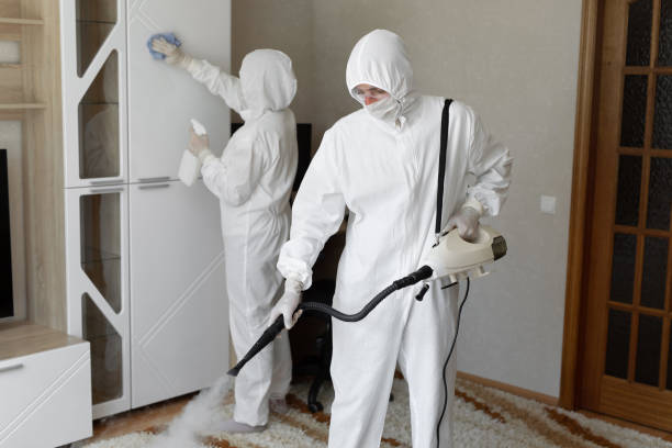 24/7 Emergency Odor Removal experts in Indianola, WA